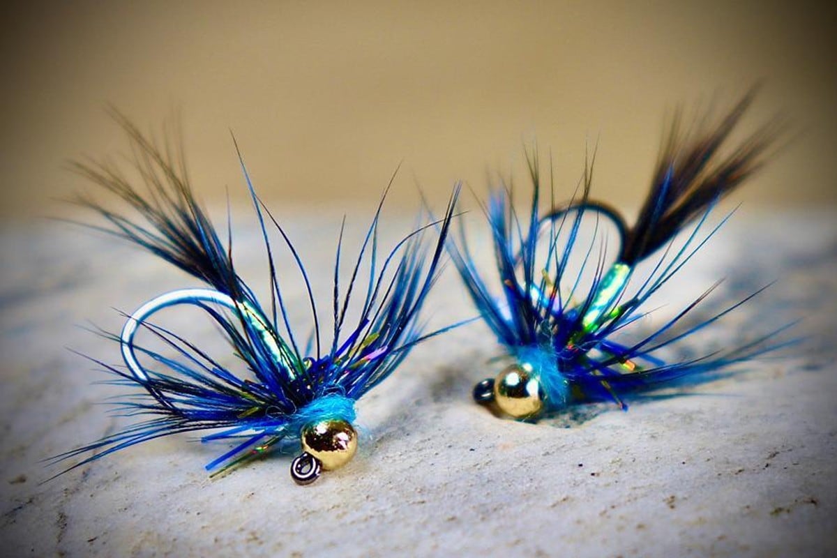 https://www.chinookwindoutfitters.com/cdn/shop/products/Aqua-Flies-Euro-Nymph-Jig-Hooks-Chinook-Wind-Outfitters-16-100-pack-w2q_1400x.jpg?v=1613339779