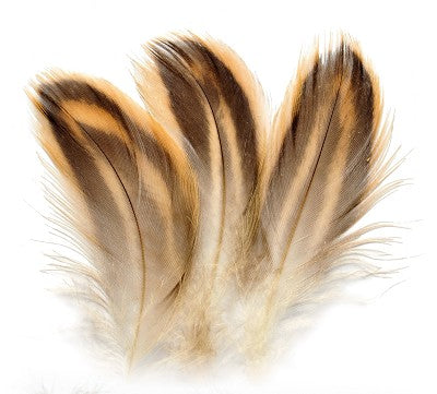 Mallard Hen Flank Feathers