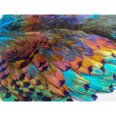 Chevron Hackles Pheasabou - Chinook Wind Outfitters