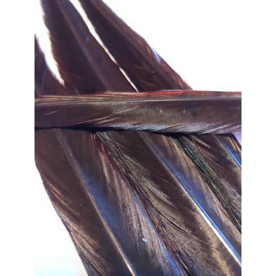 Chevron Dyed Pheasant Tail Feathers