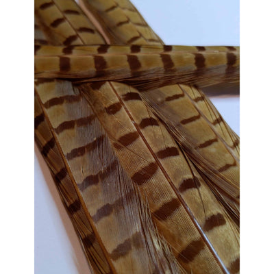 Chevron Dyed Pheasant Tail Feathers