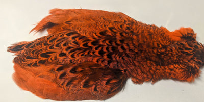 Ringneck Pheasant Hen Capes