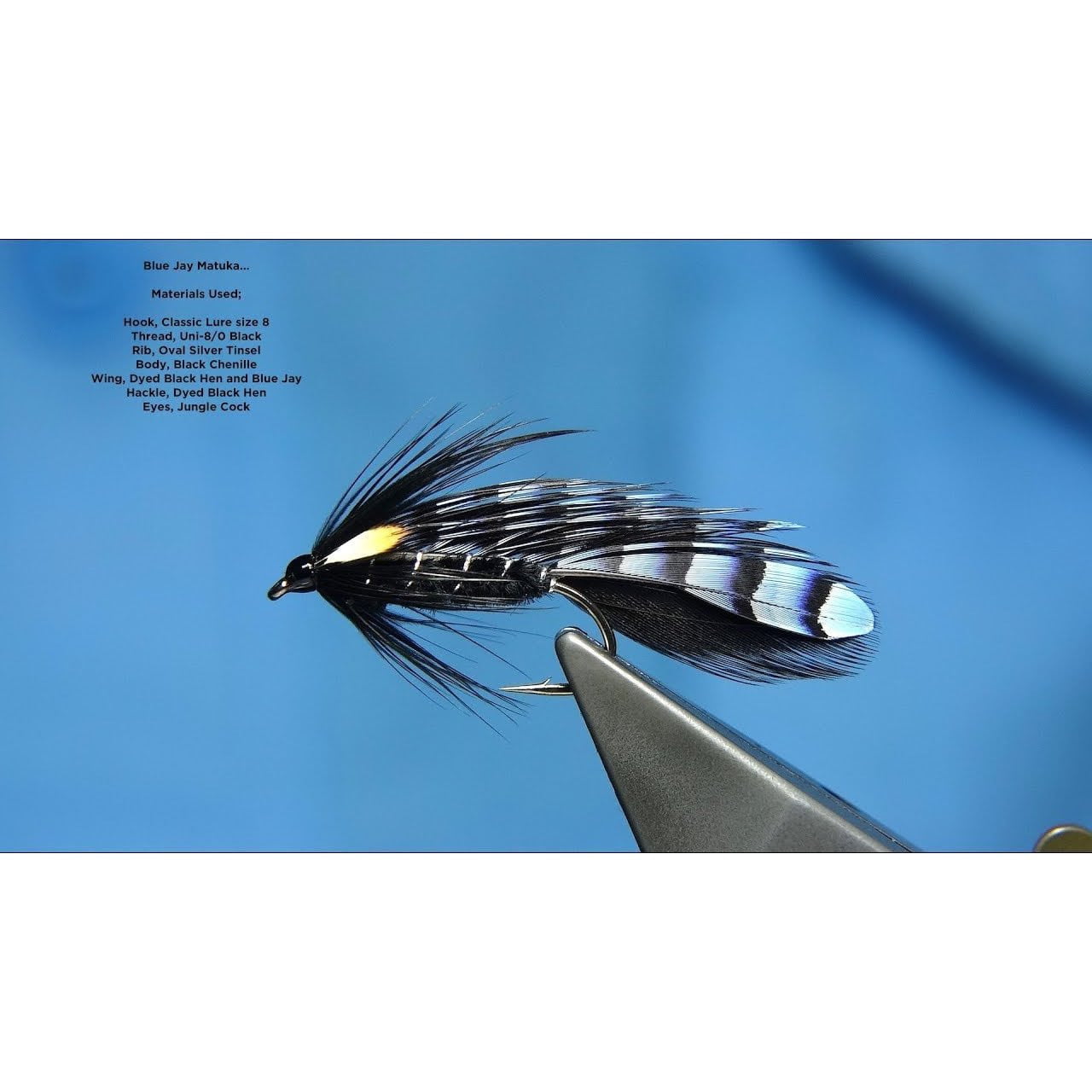 Blue Jay Wing Hackles - Chinook Wind Outfitters