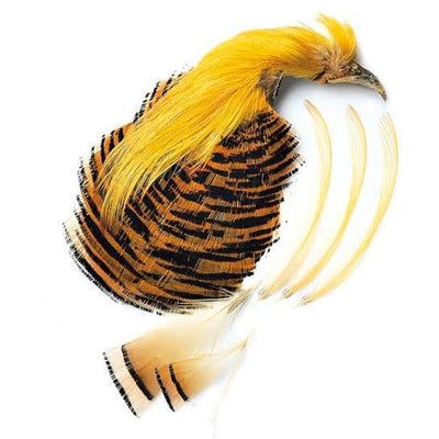 Veniard's Golden Pheasant Complete Head, 1st Quality