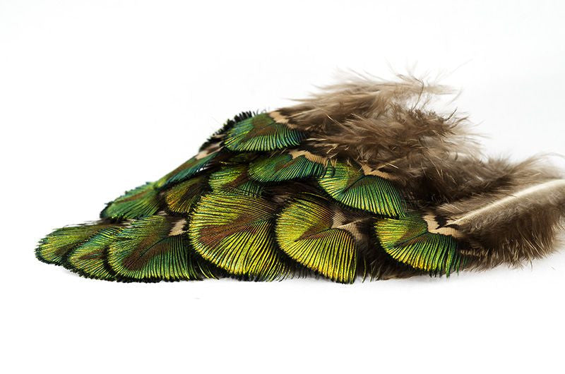 Veniard Peacock Gold Body Feathers