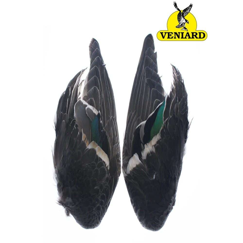 Teal Duck Wing Pair - Chinook Wind Outfitters